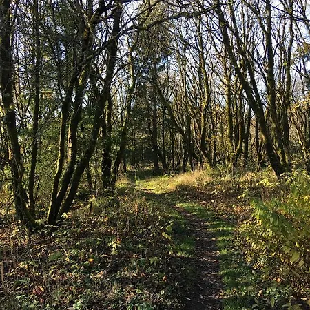 Gute Zeit Hahnenklee アパート *